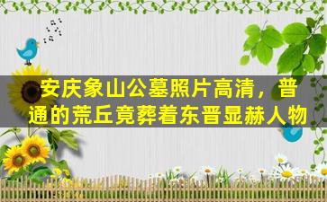 安庆象山公墓照片高清，普通的荒丘竟葬着东晋显赫人物