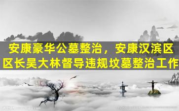 安康豪华公墓整治，安康汉滨区区长吴大林督导违规坟墓整治工作