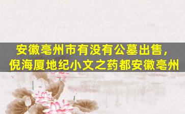 安徽亳州市有没有公墓出售，倪海厦地纪小文之药都安徽亳州