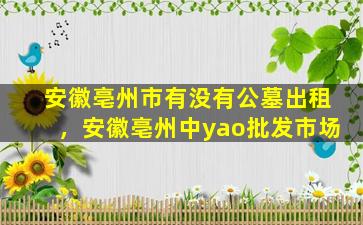 安徽亳州市有没有公墓出租，安徽亳州中yao批发市场