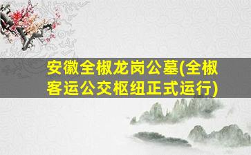 安徽全椒龙岗公墓(全椒客运公交枢纽正式运行)