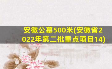 安徽公墓500米(安徽省2022年第二批重点项目14)