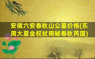 安徽六安春秋山公墓价格(东周大墓金权杖揭秘春秋芮国)