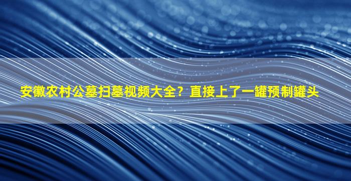 安徽农村公墓扫墓视频大全？直接上了一罐预制罐头
