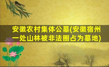 安徽农村集体公墓(安徽宿州一处山林被非法圈占为墓地)