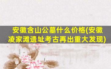 安徽含山公墓什么价格(安徽凌家滩遗址考古再出重大发现)