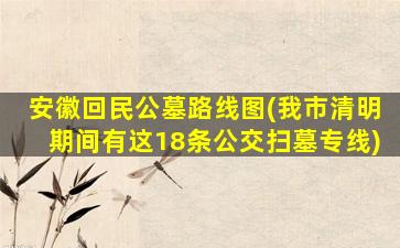 安徽回民公墓路线图(我市清明期间有这18条公交扫墓专线)