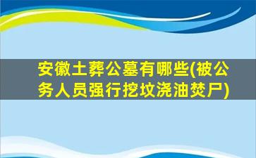 安徽土葬公墓有哪些(被公务人员强行挖坟浇油焚尸)