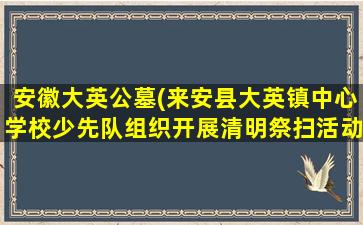 安徽大英公墓(来安县大英镇中心学校少先队组织开展清明祭扫活动)