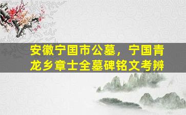 安徽宁囯市公墓，宁国青龙乡章士全墓碑铭文考辨