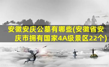 安徽安庆公墓有哪些(安徽省安庆市拥有国家4A级景区22个)