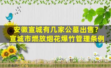 安徽宣城有几家公墓出售？宣城市燃放烟花爆竹管理条例