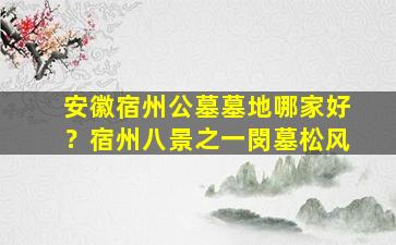 安徽宿州公墓墓地哪家好？宿州八景之一閔墓松风