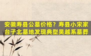 安徽寿县公墓价格？寿县小宋家台子北墓地发现典型吴越系墓葬