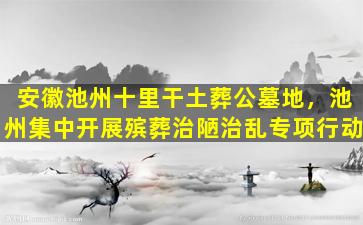 安徽池州十里干土葬公墓地，池州集中开展殡葬治陋治乱专项行动