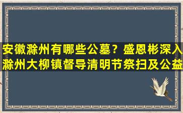 安徽滁州有哪些公墓？盛恩彬深入滁州大柳镇督导清明节祭扫及公益性公墓建设情况