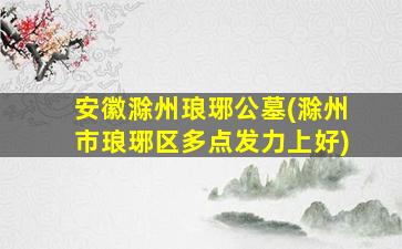 安徽滁州琅琊公墓(滁州市琅琊区多点发力上好)