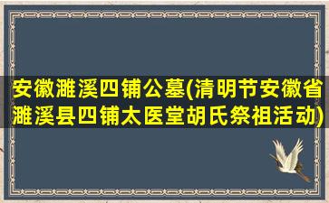 安徽濉溪四铺公墓(清明节安徽省濉溪县四铺太医堂胡氏祭祖活动)