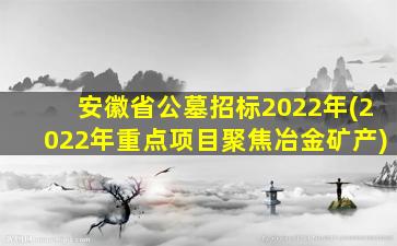 安徽省公墓招标2022年(2022年重点项目聚焦冶金矿产)
