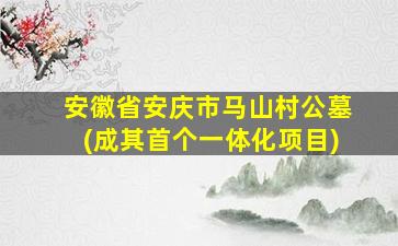 安徽省安庆市马山村公墓(成其首个一体化项目)
