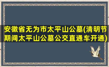 安徽省无为市太平山公墓(清明节期间太平山公墓公交直通车开通)