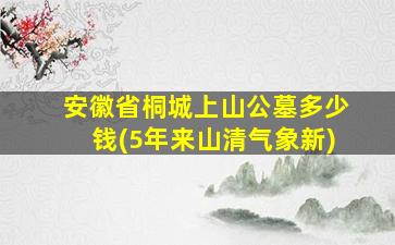 安徽省桐城上山公墓多少钱(5年来山清气象新)