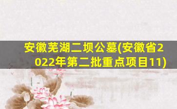 安徽芜湖二坝公墓(安徽省2022年第二批重点项目11)