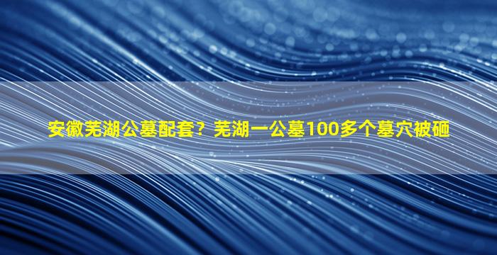 安徽芜湖公墓配套？芜湖一公墓100多个墓穴被砸