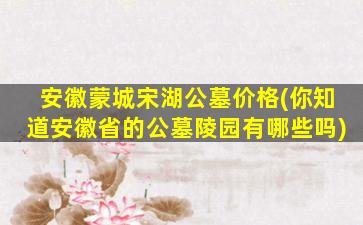 安徽蒙城宋湖公墓价格(你知道安徽省的公墓陵园有哪些吗)