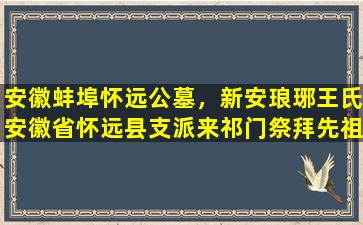安徽蚌埠怀远公墓，新安琅琊王氏安徽省怀远县支派来祁门祭拜先祖
