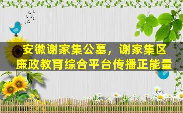 安徽谢家集公墓，谢家集区廉政教育综合平台传播正能量