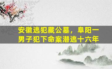 安徽逃犯藏公墓，阜阳一男子犯下命案潜逃十六年