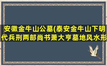 安徽金牛山公墓(泰安金牛山下明代兵刑两部尚书萧大亨墓地风水形胜及其绝嗣之谜)