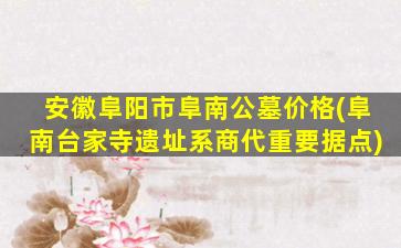 安徽阜阳市阜南公墓价格(阜南台家寺遗址系商代重要据点)