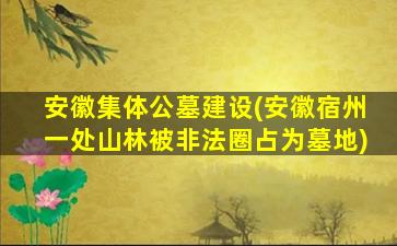 安徽集体公墓建设(安徽宿州一处山林被非法圈占为墓地)
