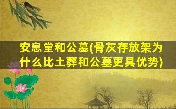 安息堂和公墓(骨灰存放架为什么比土葬和公墓更具优势)