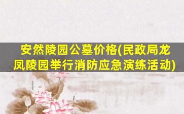 安然陵园公墓价格(民政局龙凤陵园举行消防应急演练活动)