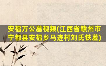 安福万公墓视频(江西省赣州市宁都县安福乡马迹村刘氏铁墓)