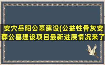 安穴岳阳公墓建设(公益性骨灰安葬公墓建设项目最新进展情况来了)