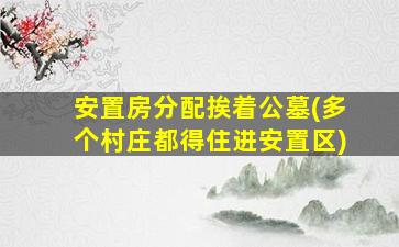 安置房分配挨着公墓(多个村庄都得住进安置区)