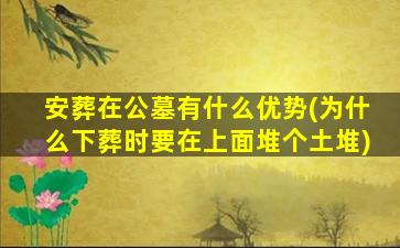 安葬在公墓有什么优势(为什么下葬时要在上面堆个土堆)