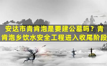 安达市青肯泡是要建公墓吗？青肯泡乡饮水安全工程进入收尾阶段