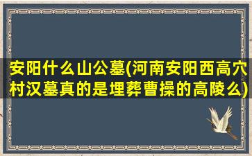 安阳什么山公墓(河南安阳西高穴村汉墓真的是埋葬曹操的高陵么)