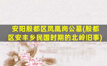 安阳殷都区凤凰岗公墓(殷都区安丰乡民国时期的北岭旧事)