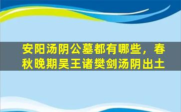 安阳汤阴公墓都有哪些，春秋晚期吴王诸樊剑汤阴出土