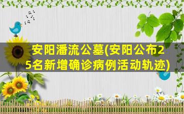 安阳潘流公墓(安阳公布25名新增确诊病例活动轨迹)