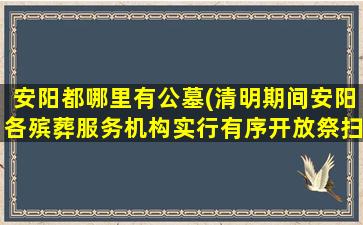 安阳都哪里有公墓(清明期间安阳各殡葬服务机构实行有序开放祭扫)