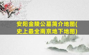 安阳金陵公墓简介地图(史上最全南京地下地图)