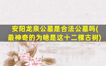 安阳龙泉公墓是合法公墓吗(最神奇的为啥是这十二棵古树)