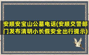 安顺安宝山公墓电话(安顺交警部门发布清明小长假安全出行提示)
